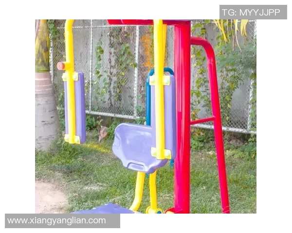 腰部肌肉健身器材：推荐几款帮助锻炼腰部肌肉的健身器材