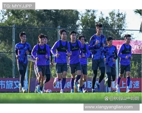 西甲联赛外援对比赛的影响